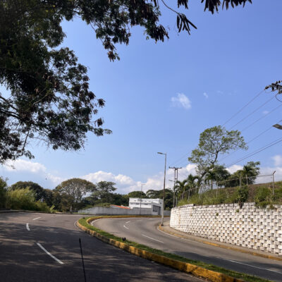 Avenida Guayana